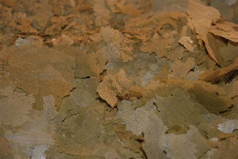 Ken's Basic Green Flake .